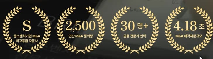 M&A 자문 실적